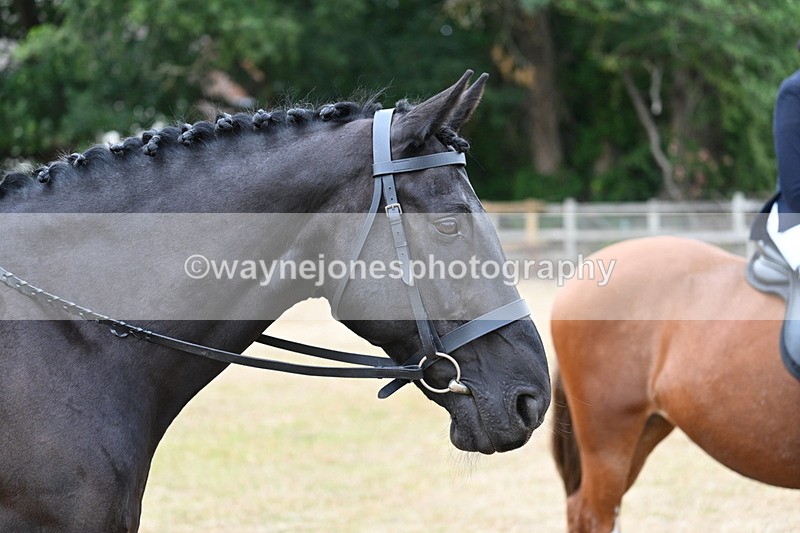 WJ7_1392 - Class 8 Ridden Veterans