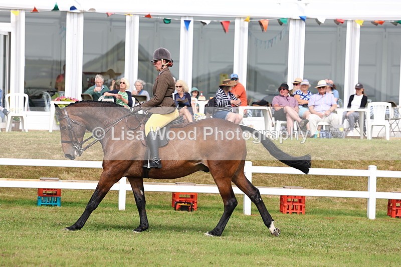 3E7A9470 - Class 4: Rising Star M/H Hunter