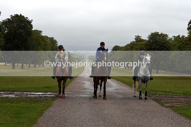 TT3_8313 - Time at Crossing 10:16 to 11:38