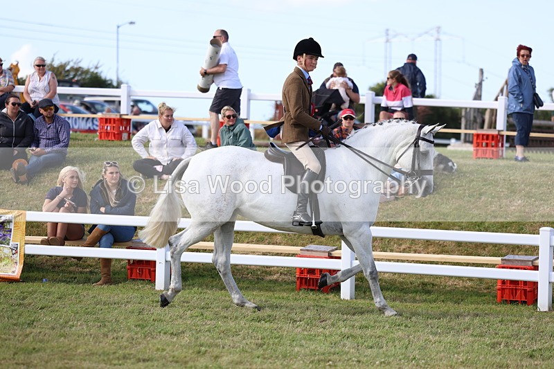 3E7A3804 - Supreme Championship