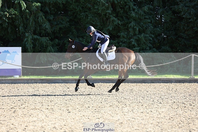 241027-113141-16832 - 420-Pip.Howarth-OTTAVA