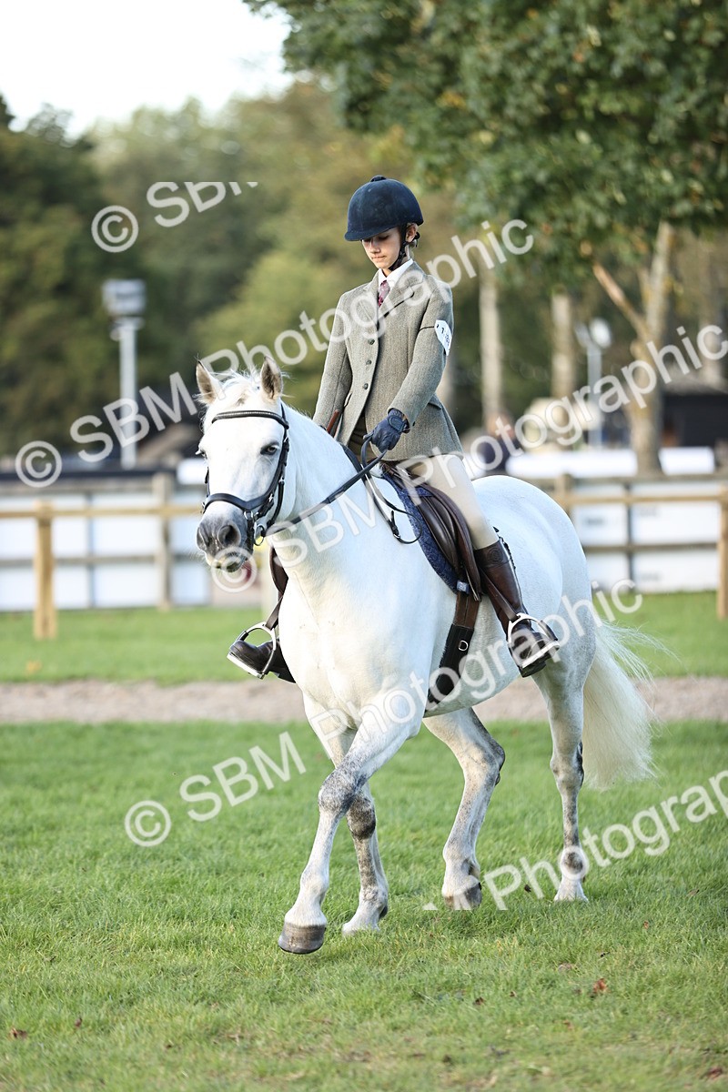 SBM_29569 - S7 - Novice & Newcomers Ridden Pony