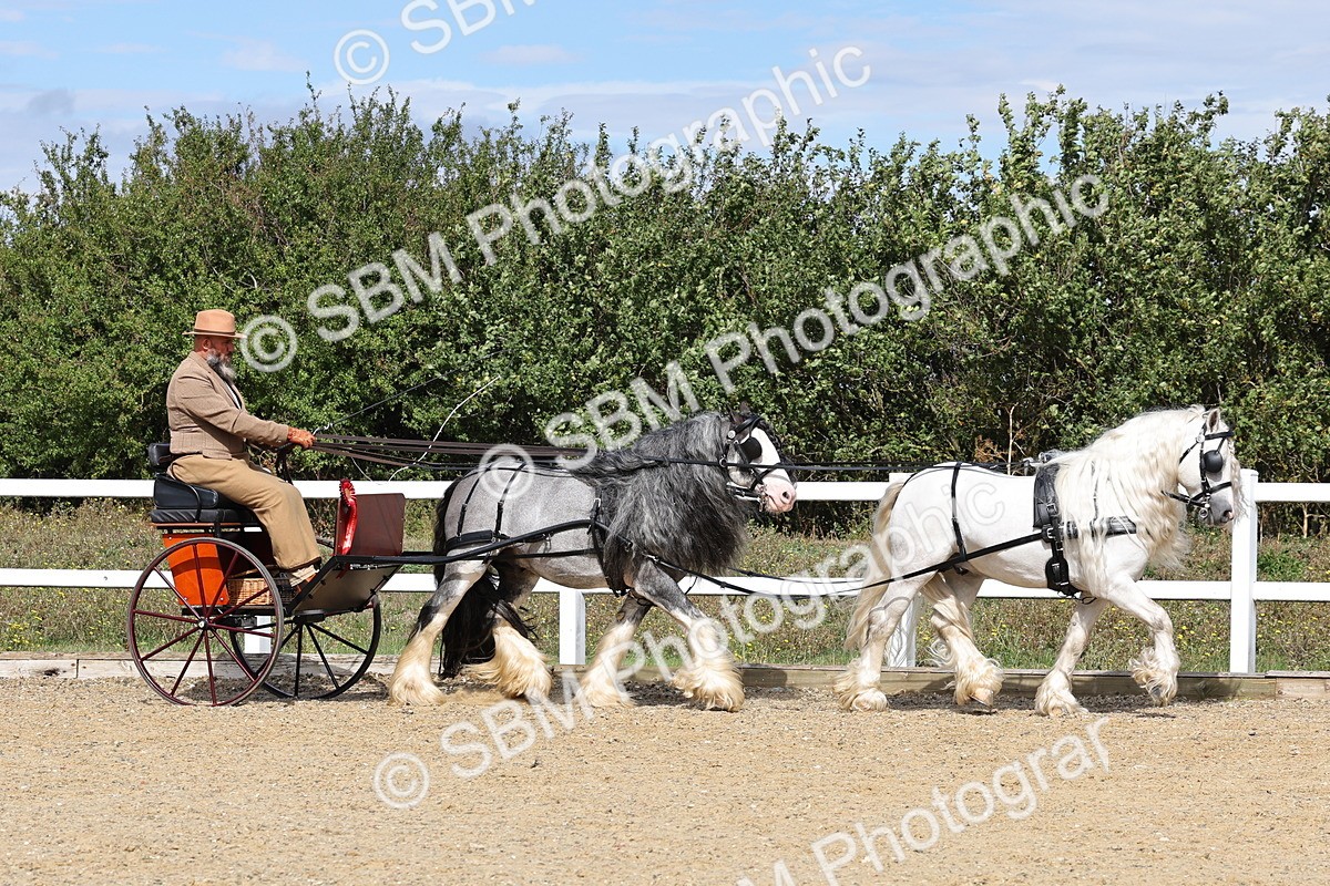 SBM_001269 - Class 16 - Pairs ,Multiples and Tandems