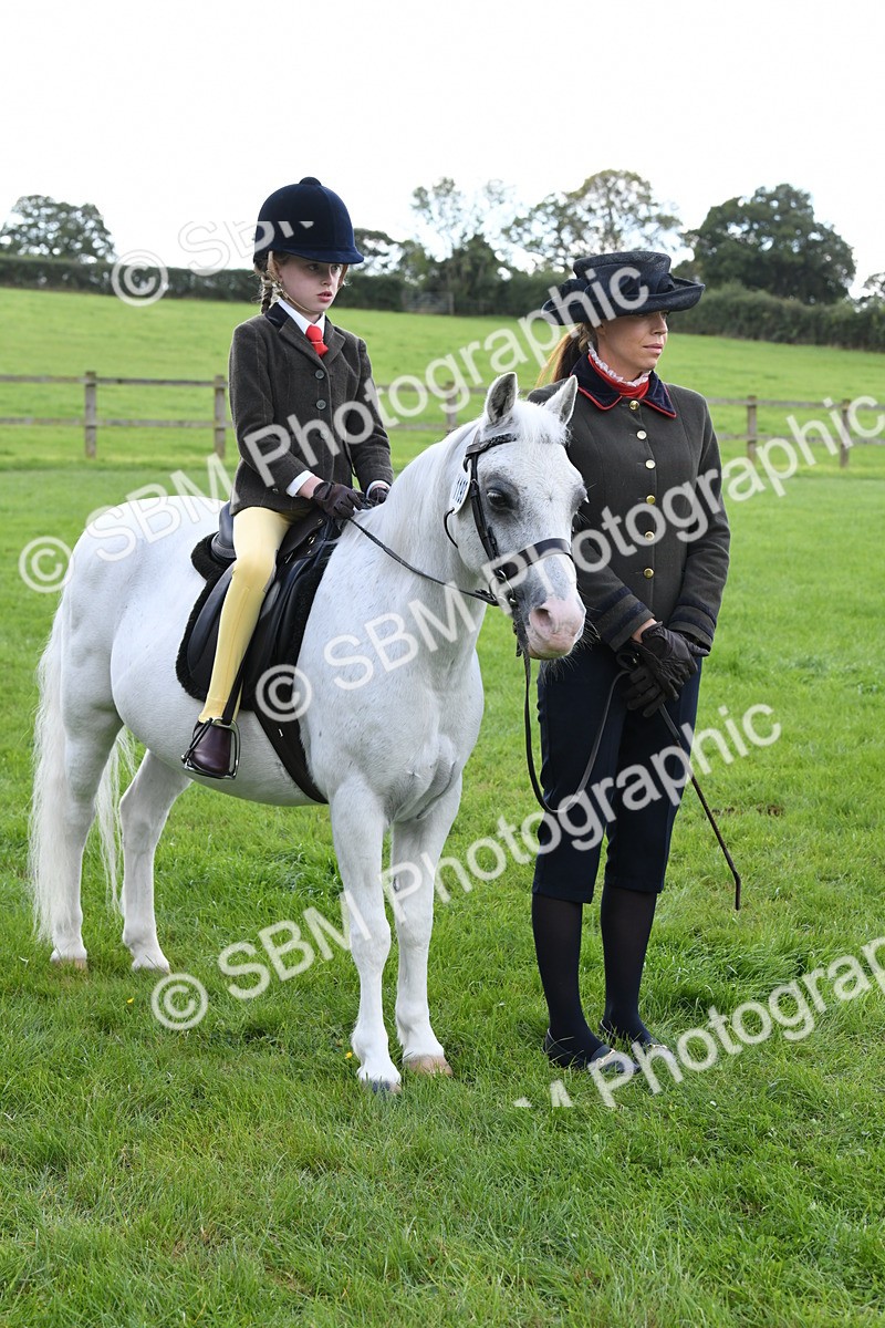 SBM_42600 - S20 - Lead Rein Mountain & Moorland Pony