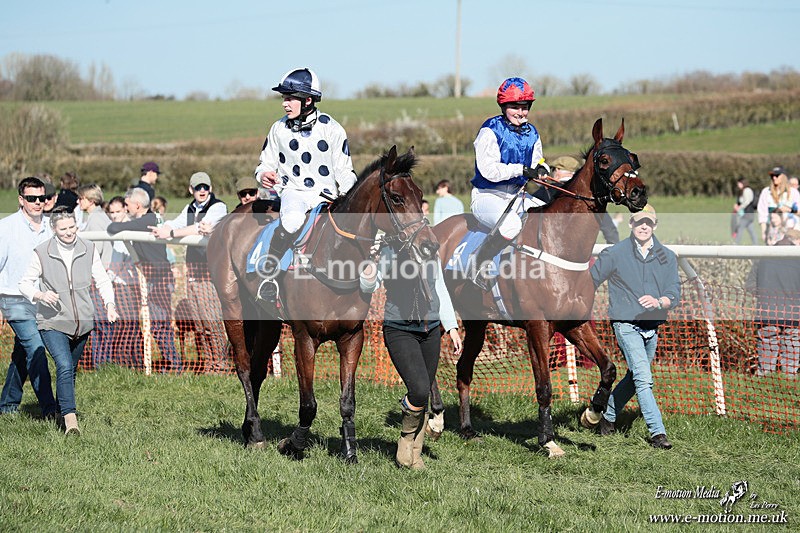 PtP 210326 438 - VWH Cirencester Races 21/03/26