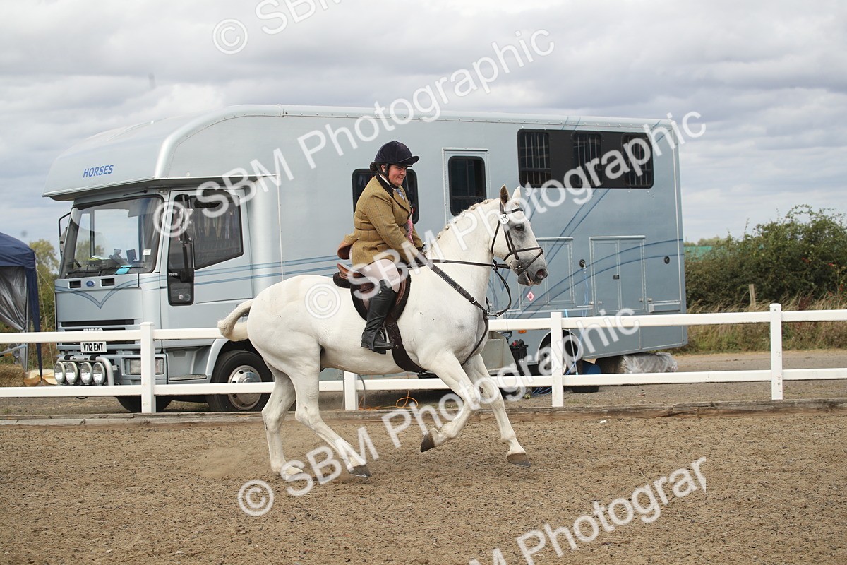 SBM_17810 - Class 508a - Working Veteran 70cm (15-19)