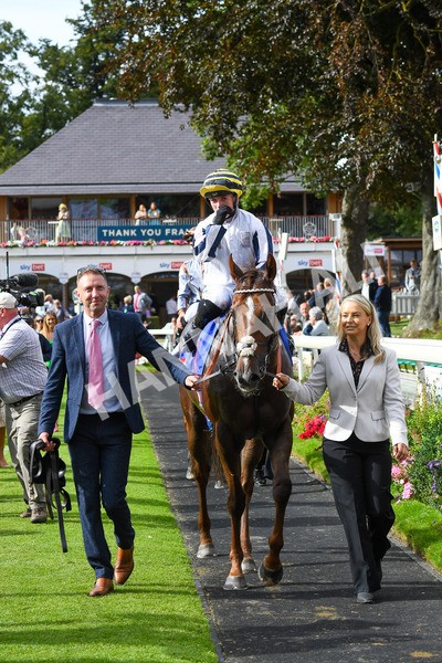 260823-Race 5-Albasheer-0803 - Race 5 Sky Bet Constantine Handicap