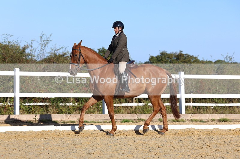 3E7A5188 - Class 7: Novice Ridden Hunter/Hack/RH/Cob