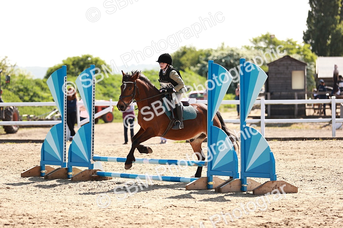 SBM_006807 - Class 2 - 50cm