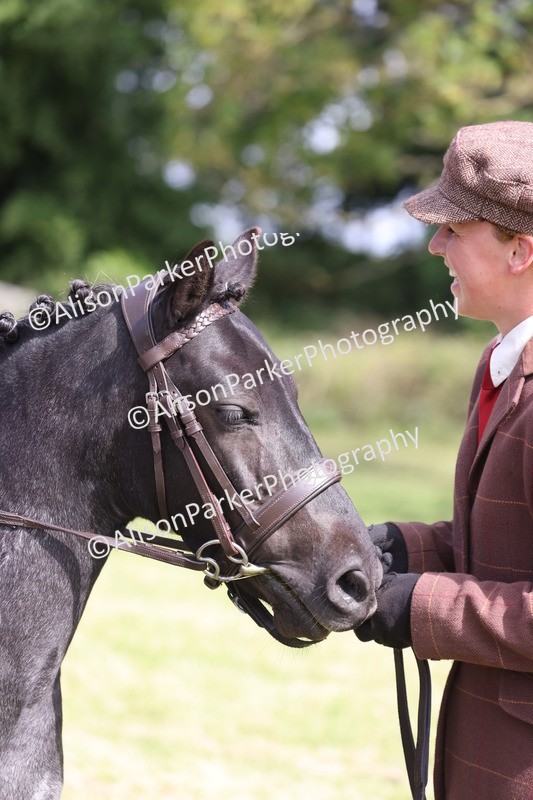 20260614-0591 - Class 20 - Beginners Working Hunter Pony