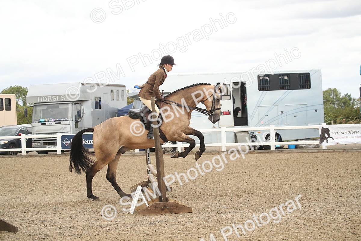 SBM_16664 - Class 507a - Working Veteran - 60cm (15-19)