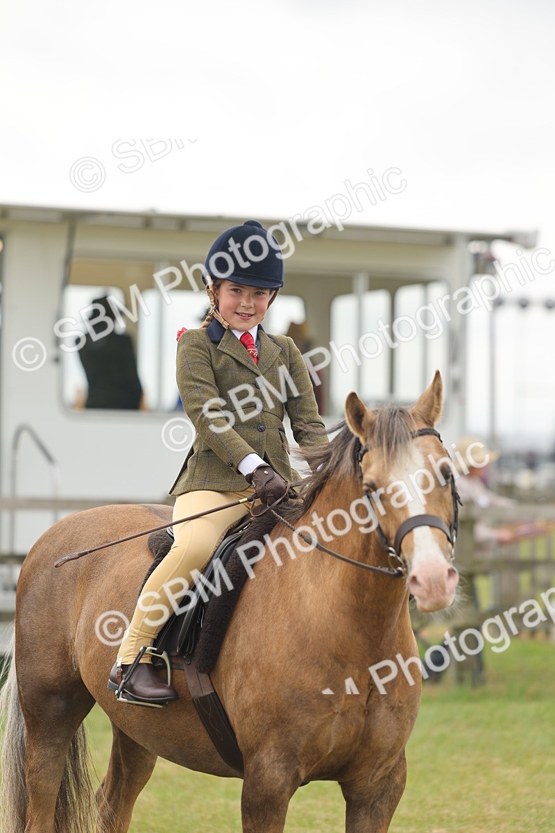 SBM_06896 - Class 74-75 - M&M Lead Rein and First Ridden Pony