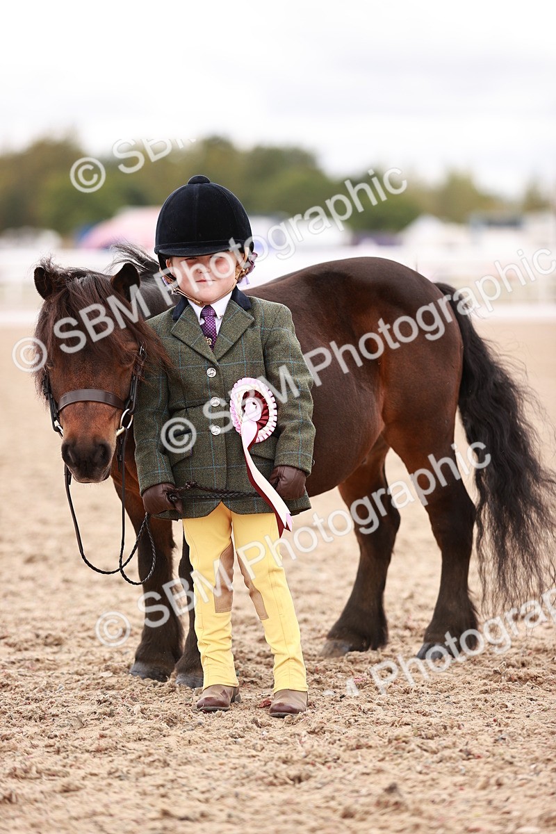 SBM_18614 - Class 421 - Childs Best Friend - Jnr