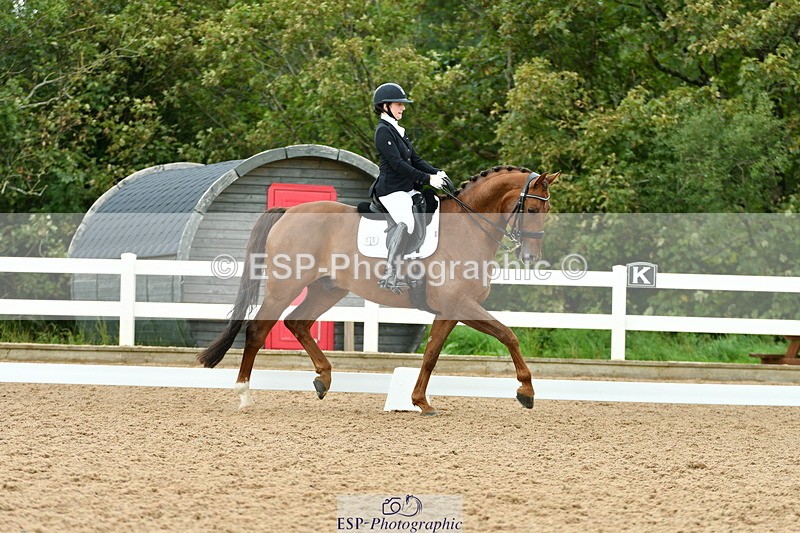 230912A-153014-01579 - Cls 13 Adv Medium 91