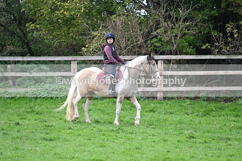 WJ7_8425 - Time 12:12 to 12:37