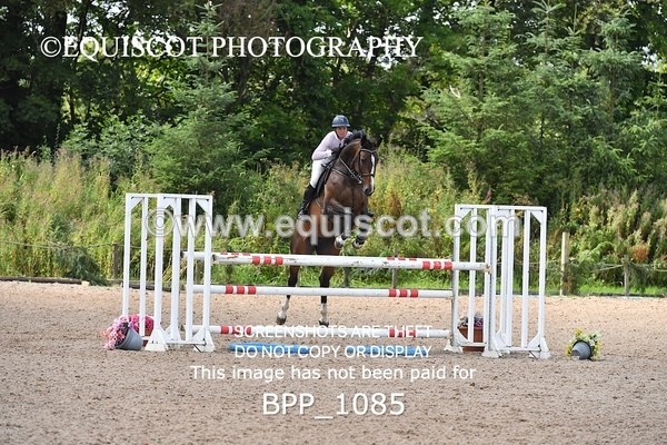 BPP_1085 - CLASS 7 Senior Foxhunter/ 1.20m Open