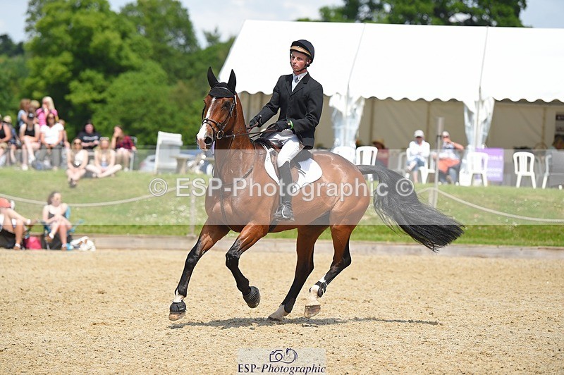 230528-122554-15695 - 325-LONESTAR-Thomas_Hawke-SUNTrotUp+SJ