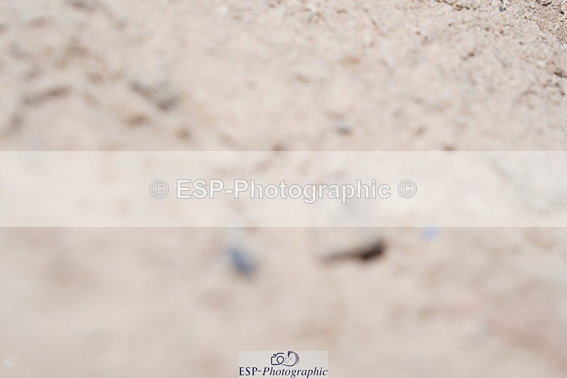 240728-113744-03160 - PC80, Round 1