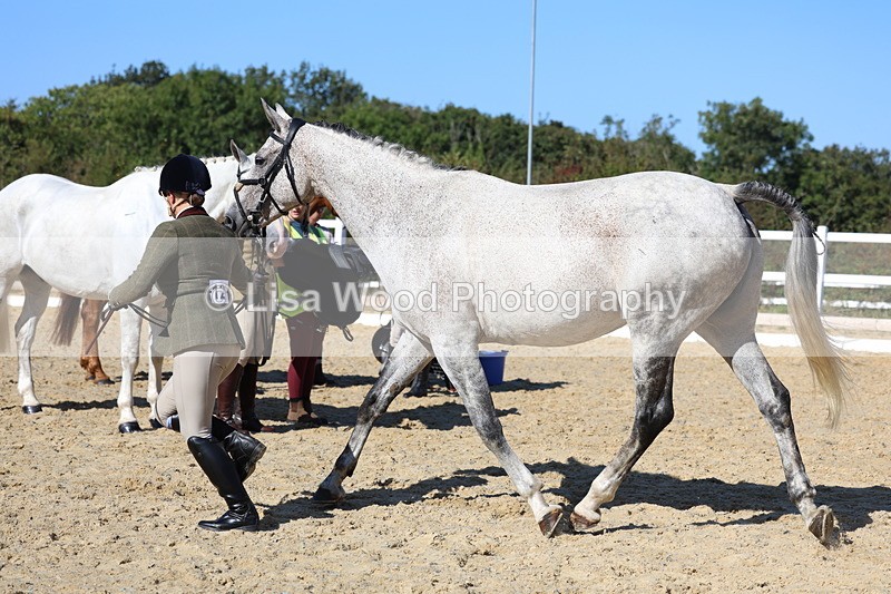 3E7A5565 - Class 9: Open Ridden Hunter