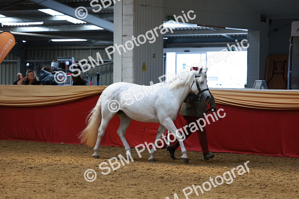 SBM_04112 - Class 9R - IH Pre-Vet