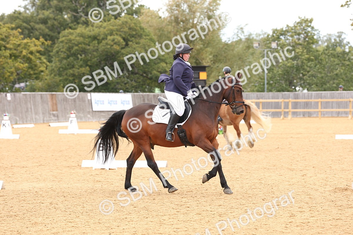 SBM_27073 - D17 - Grand Tour Championship Novice 3