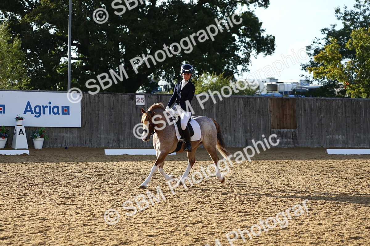 SBM_31643 - D11 - Small Tour Championship Prelim 1