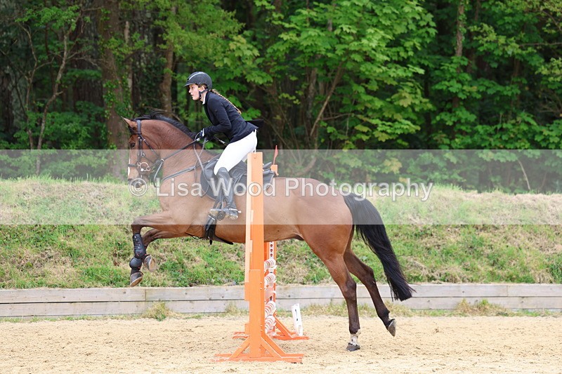 3E7A6035 - Class 4: Senior British Novice/90cm open