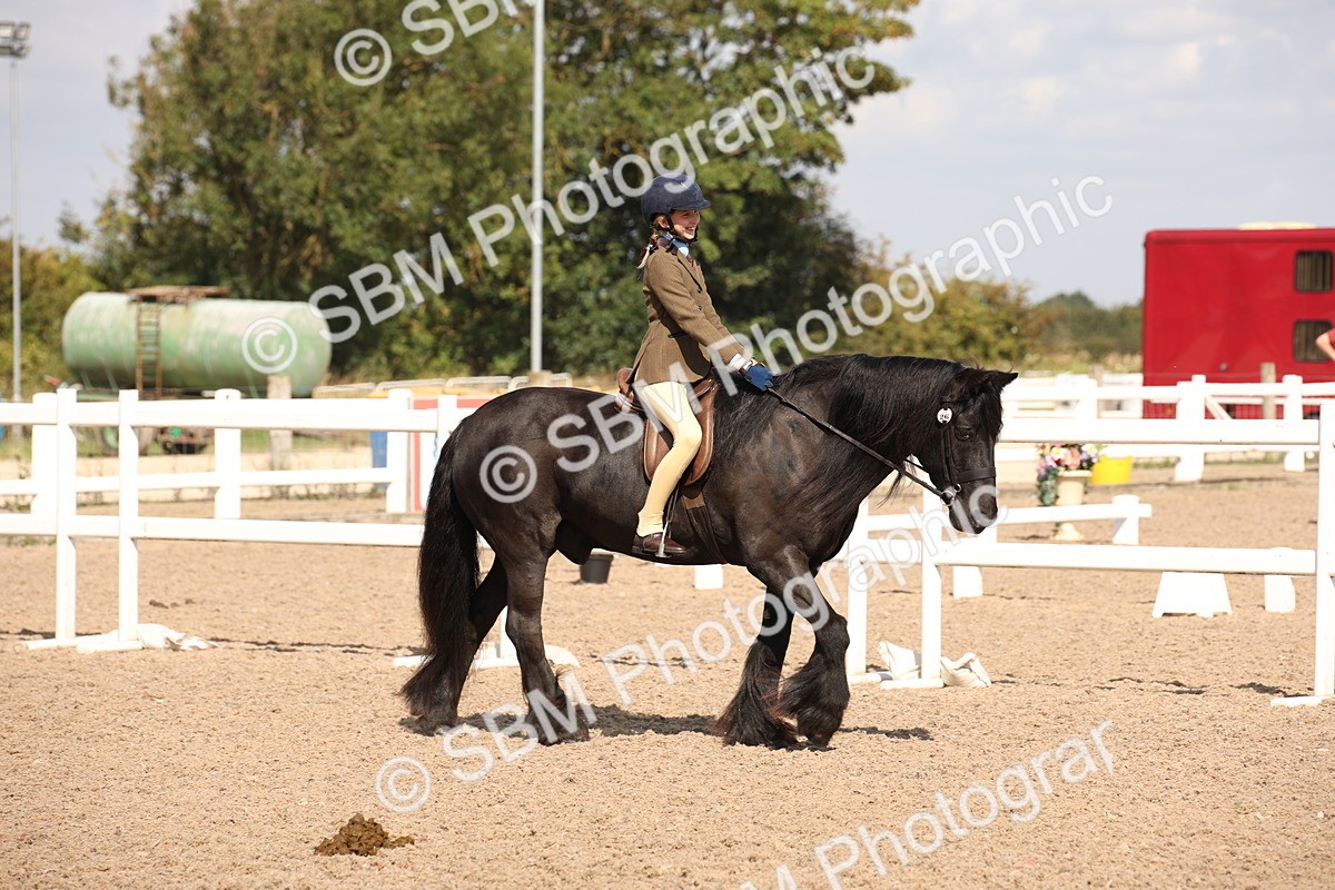SBM_03384 - Class 18 Handsomest Gelding (IH or Ridden)
