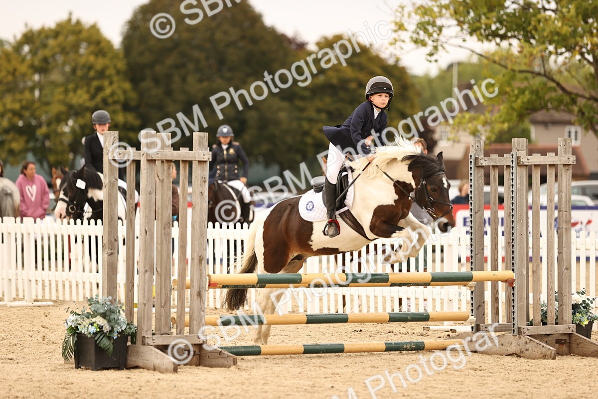 SBM_74257 - J14 - Junior Pony 65cm Championship