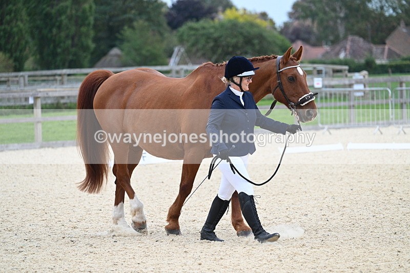 WJ7_1801 - Class 1 & Champs