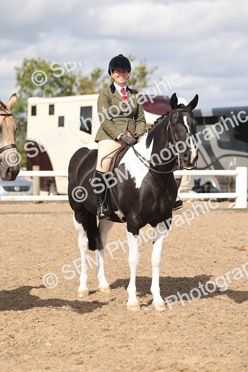 SBM_14785 - Class 308 - Ridden Coloured Horse