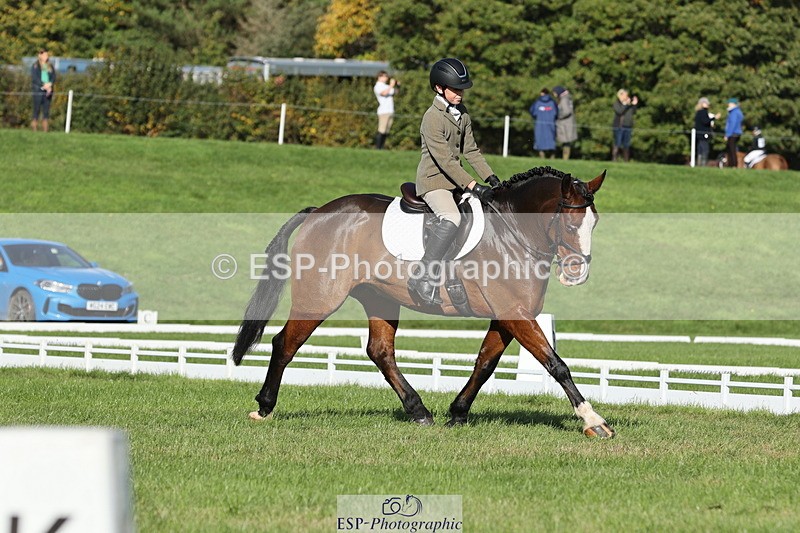 251024A-111954-09952 - D-351-Thomas.Harris