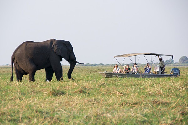  - African Journey