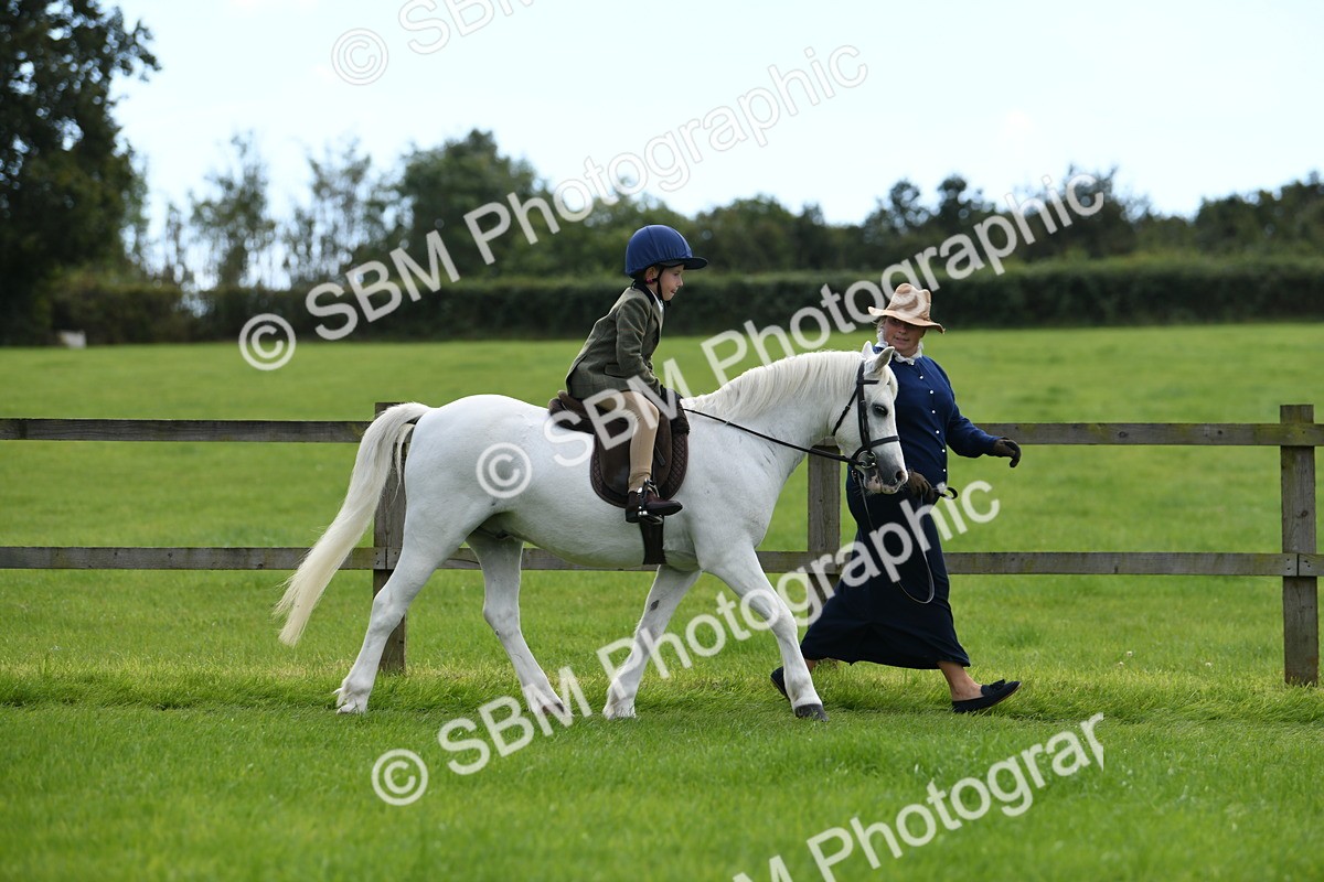 SBM_42465 - S20 - Lead Rein Mountain & Moorland Pony