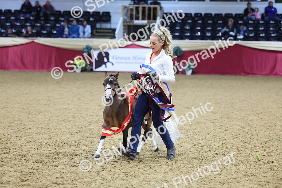 SBM_18749 - Class D IH Pony Champ