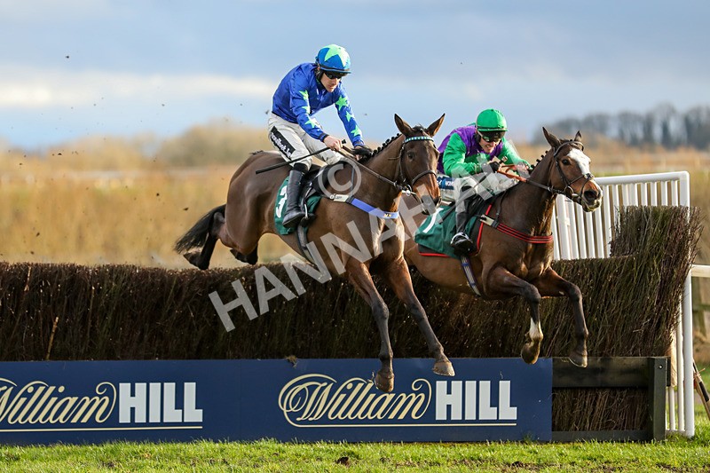 020224-Race 5-Shighness-6913 - Race 5