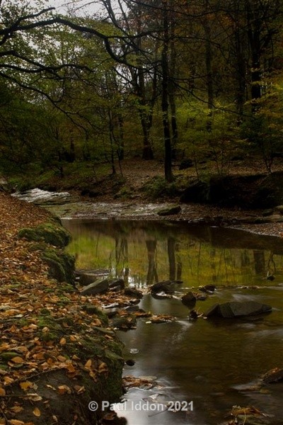 Roddlesworth 2 - Landscapes