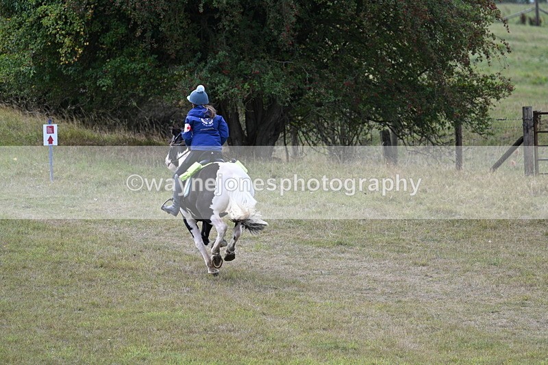 WJ7_5986 - Time 11:50 to 12:09