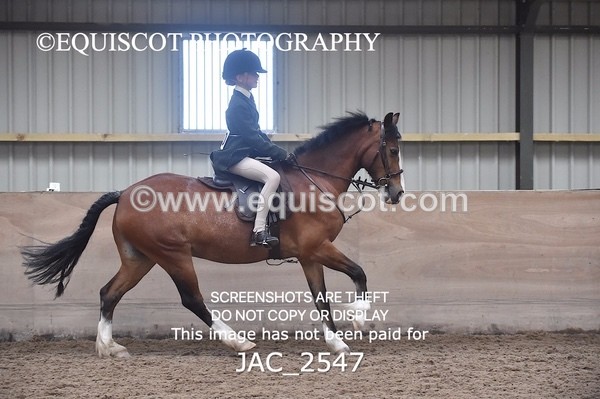 JAC_2547 - CLASS 3 Intermediate Working Hunter