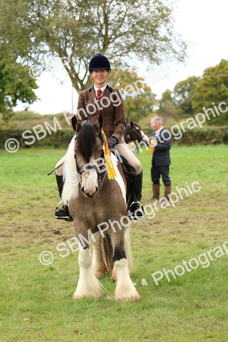 SBM_64665 - S58 - Coloured Pony Ridden