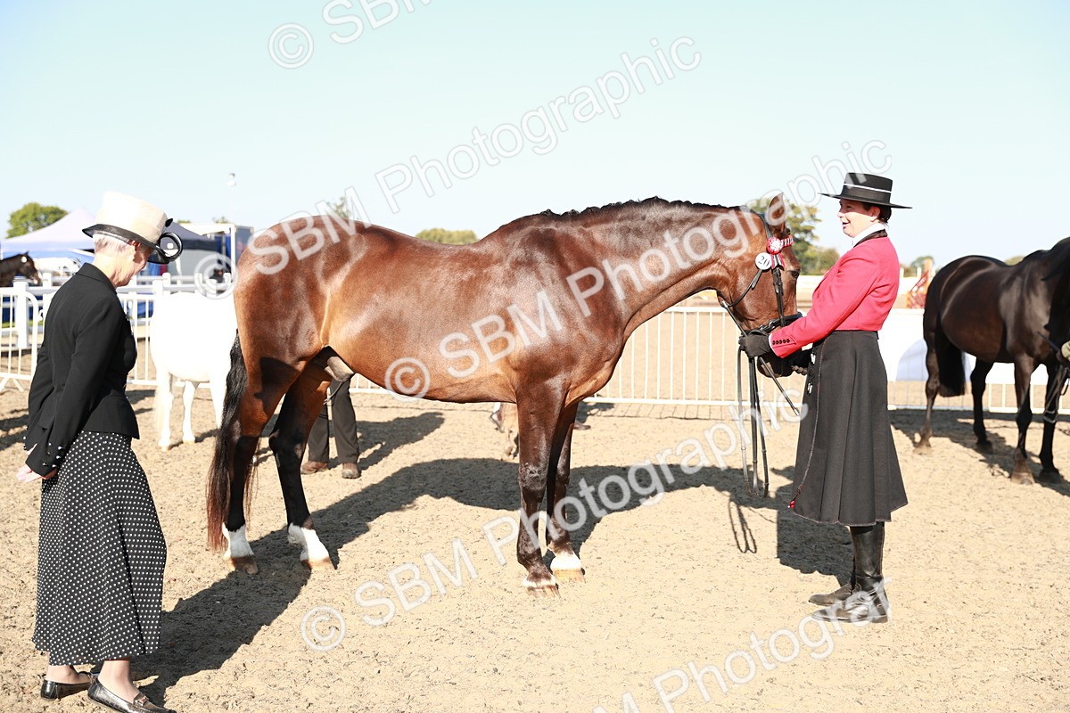 SBM_00060 - Class 40 Best Turned Out IH