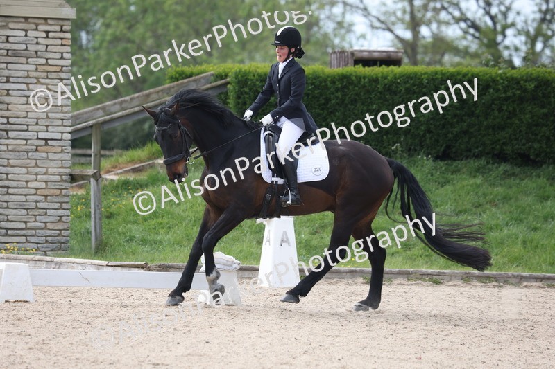 20260502-0872 - Class 7 - Novice 2