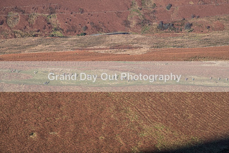Kong SOB-11 - Kong S.O.B. Fell Race Saturday 1st February 2025