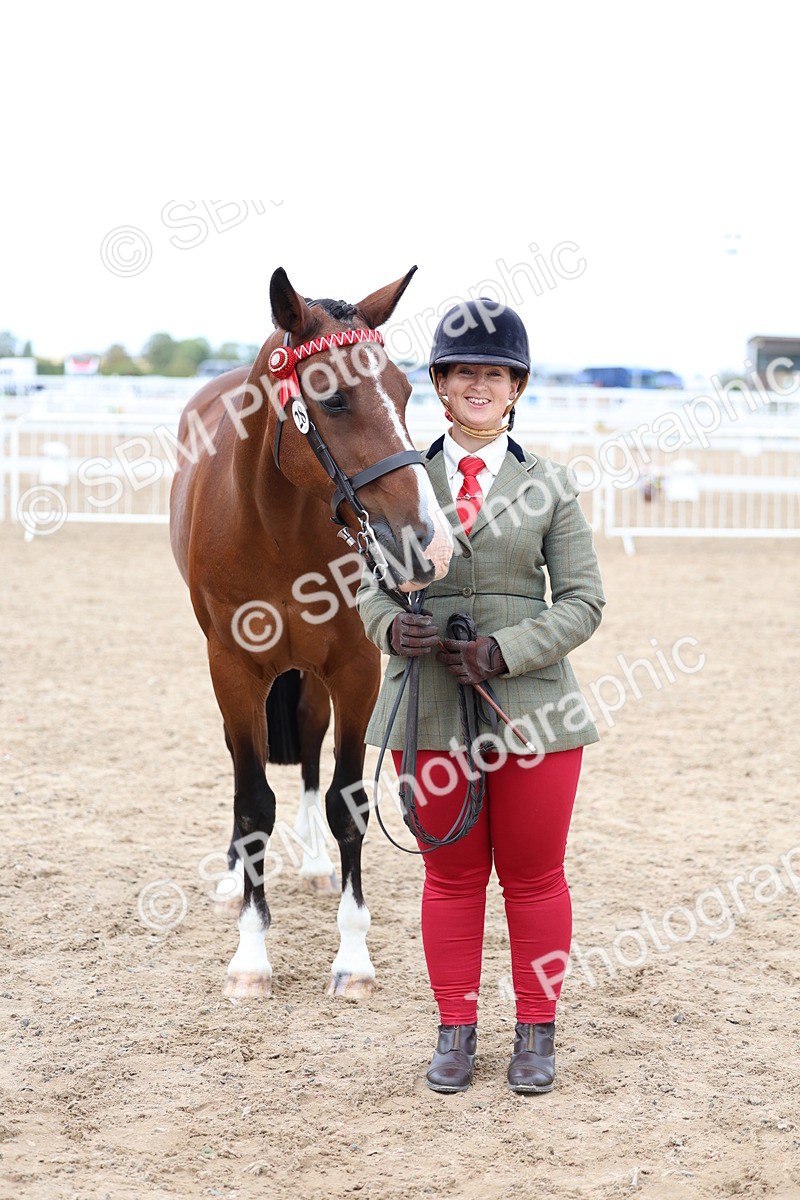 SBM_05072 - Class 27 - IH Competition Horse or Pony