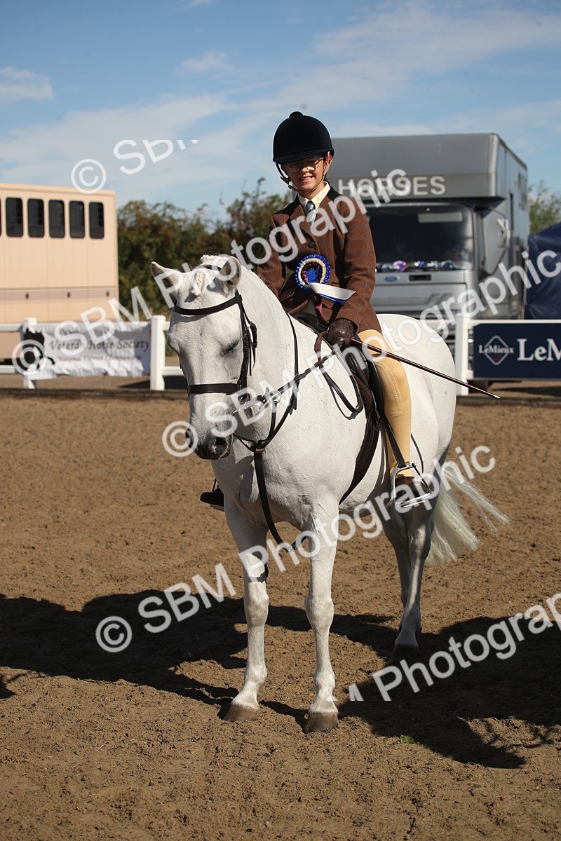 SBM_12780 - Class 504b - Junior Working Veteran - 40cm (20+)