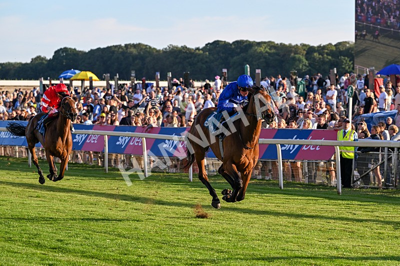 240726-Race 5-Diamond Rain-5492 - Race 5 19.50pm British EBF Lyric Fillies' Stakes