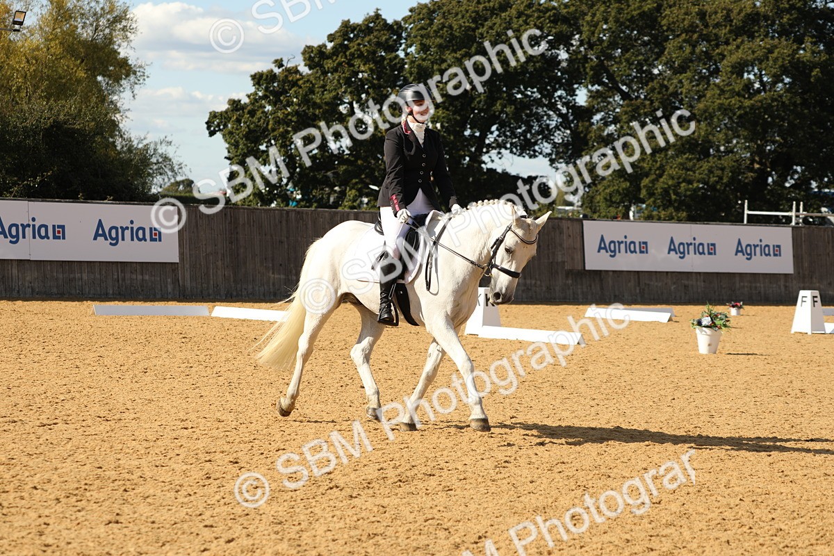 SBM_26522 - D17 - Grand Tour Championship - Novice 27