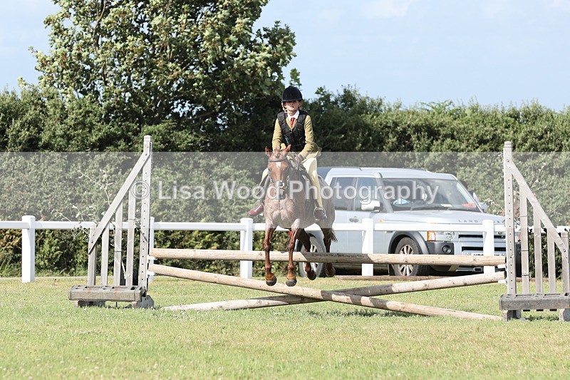 JPP_2818 - Class 20: Working Hunter 70cm