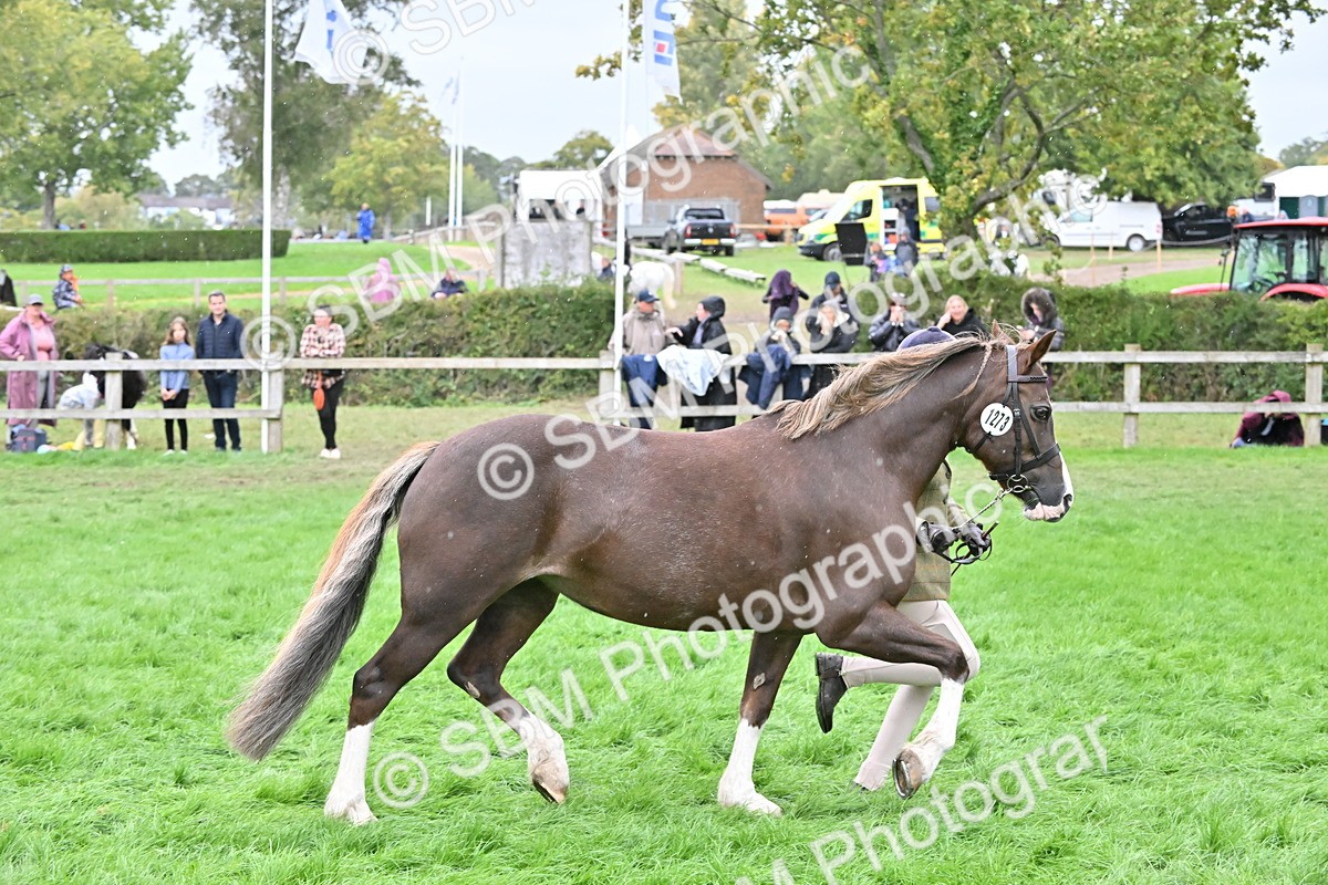 SBM_68590 - S42 - Junior Handler 9-12 Years