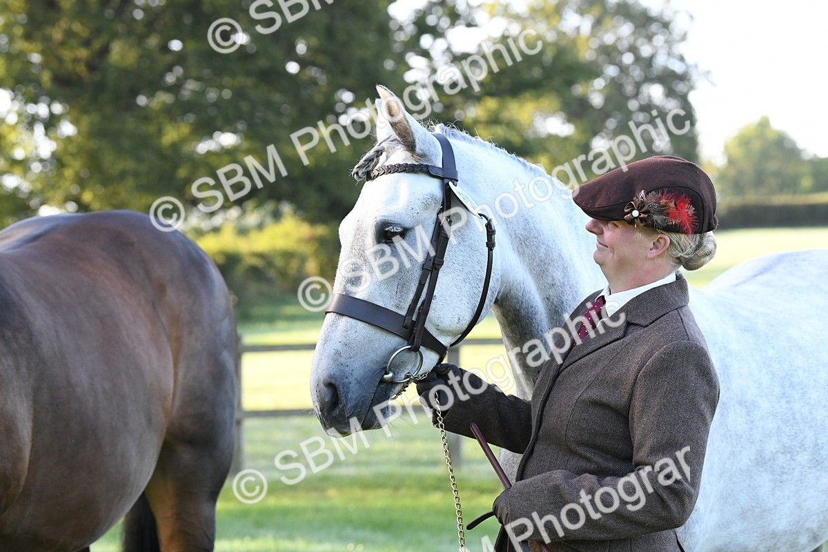 SBM_32628 - S15 - Condition & Turnout In Hand